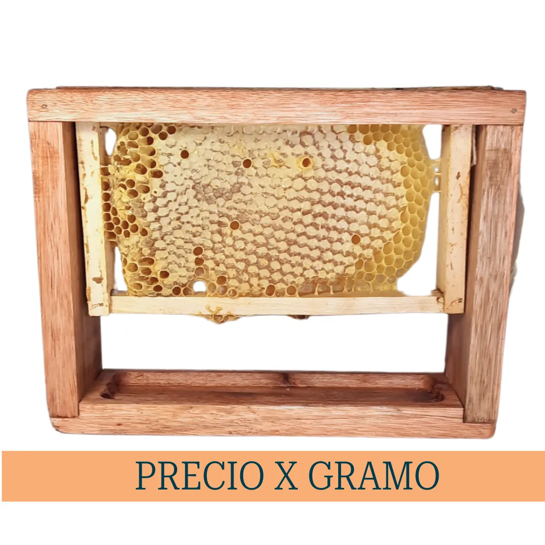 Miel en Panal-Multifloral Nativa- Porta Panal (Precio x gramo) STOCK LTDO