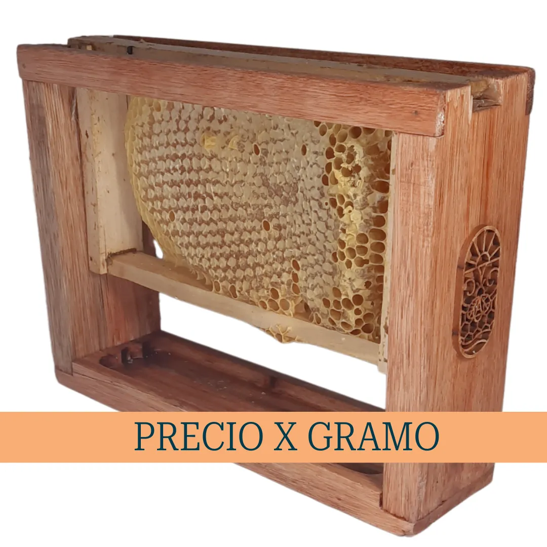 Miel en panal-Atamisque Nativa- Porta panal (Precio x gramo) STOCK LTDO