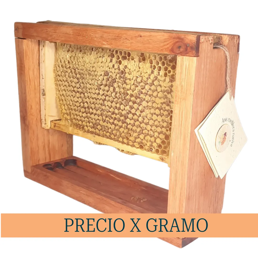 Miel en Panal-Multifloral Chacra- Porta Panal (Precio x gramo) STOCK LTDO