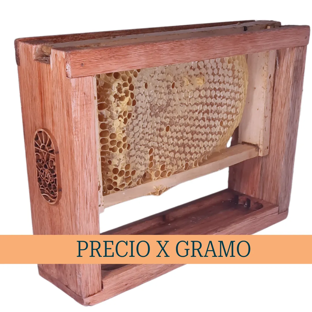 Miel en Panal-de Mielada Frutal-Porta Panal (Precio x gramo) STOCK LTDO
